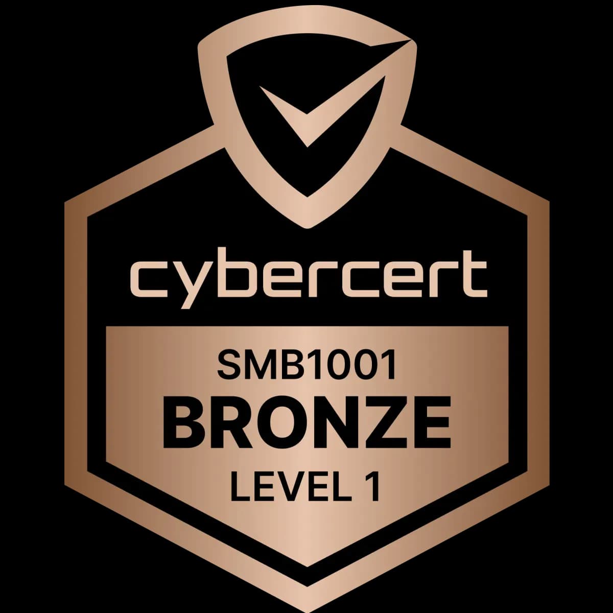 SMB 1001 Bronze Level 1